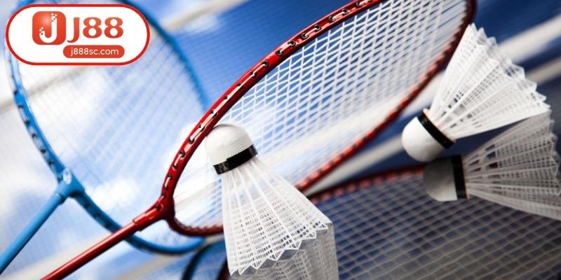 Những hình thức xử phạt lỗi vi phạm thường gặp nhất